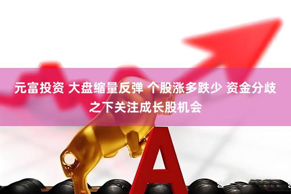 元富投资 大盘缩量反弹 个股涨多跌少 资金分歧之下关注成长股机会