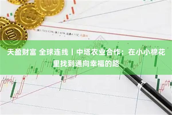 天盈财富 全球连线丨中塔农业合作：在小小棉花里找到通向幸福的路