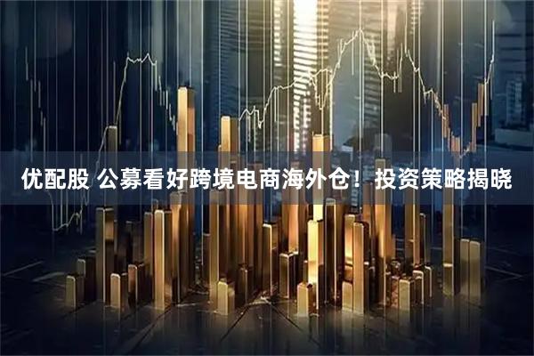 优配股 公募看好跨境电商海外仓！投资策略揭晓