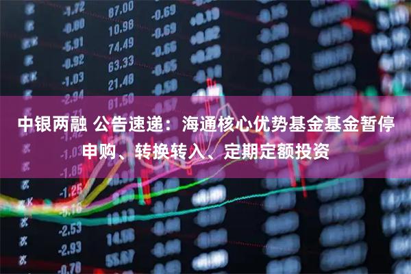 中银两融 公告速递：海通核心优势基金基金暂停申购、转换转入、定期定额投资