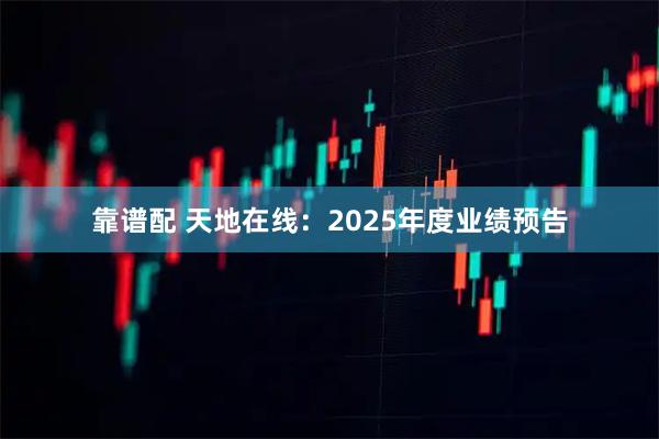 靠谱配 天地在线：2025年度业绩预告